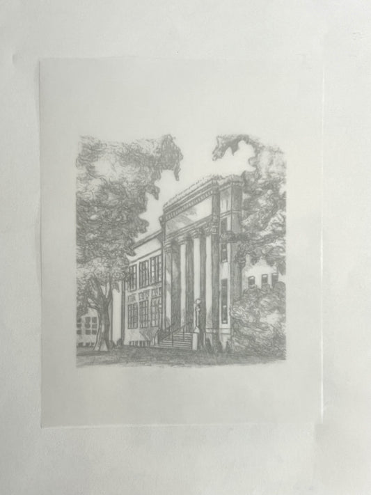 Tissue Inserts (25)
