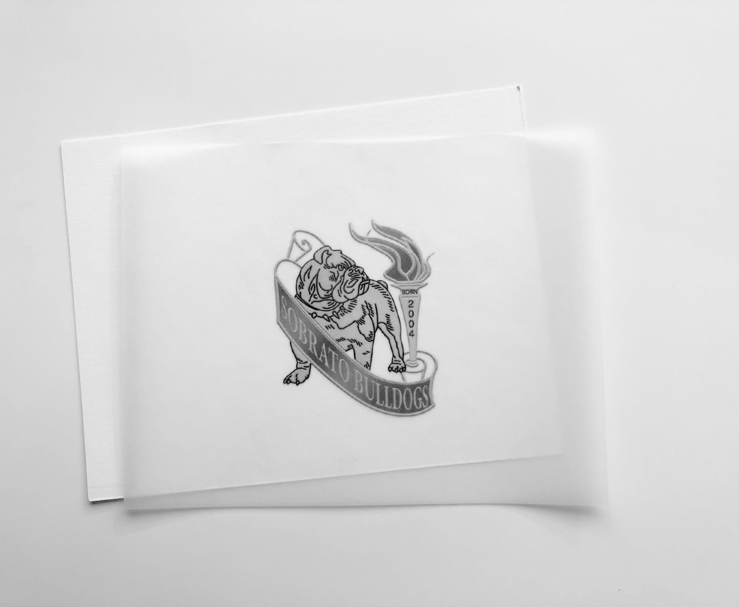 Tissue Inserts (25)