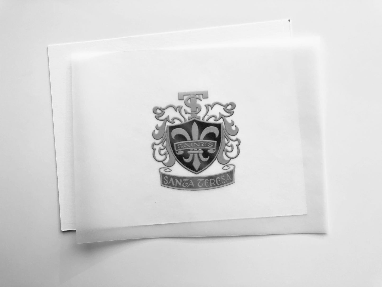 Tissue Inserts (25)