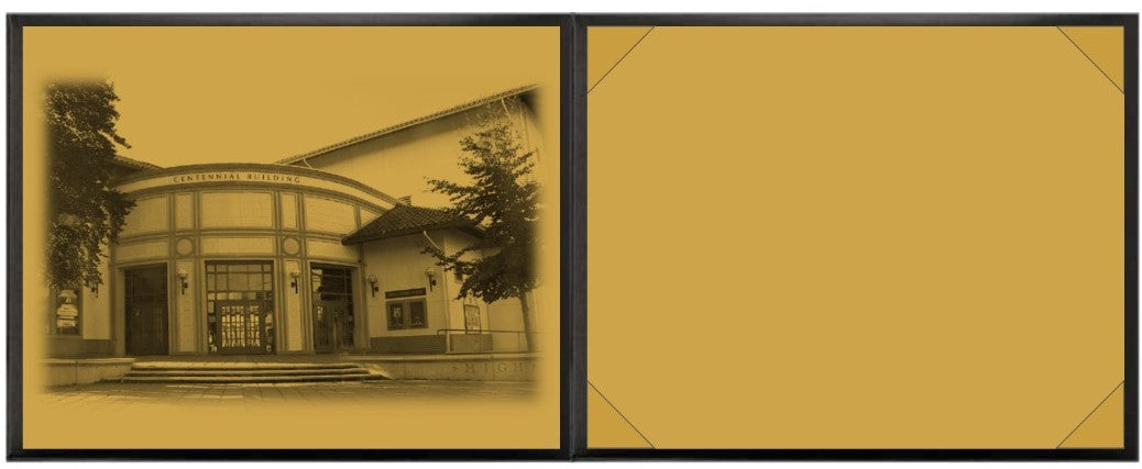Diploma covers